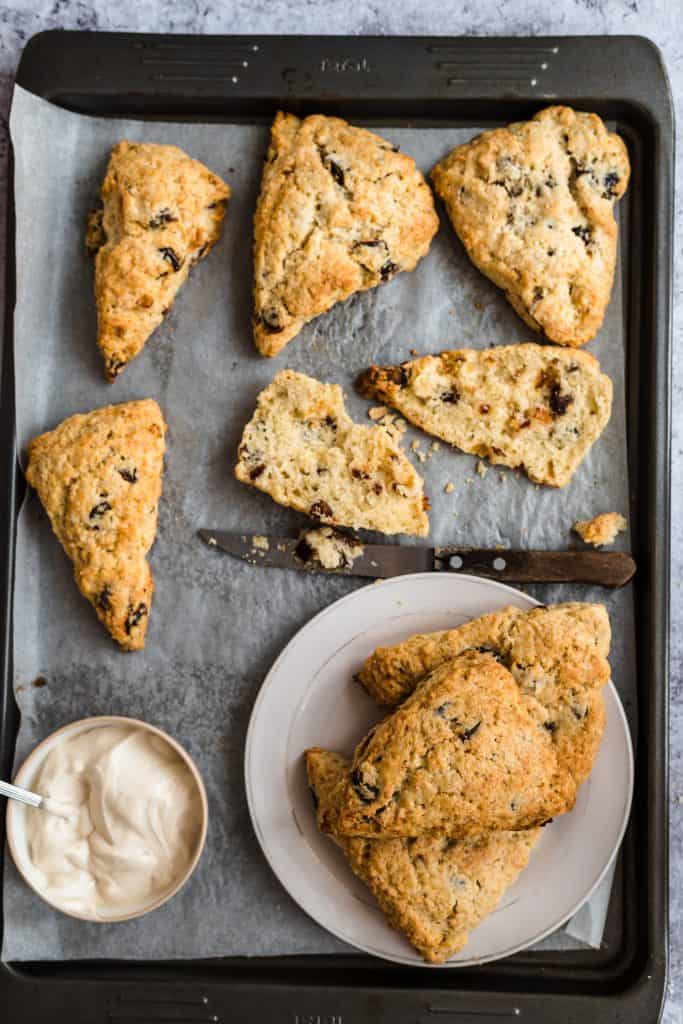 Tray of baked date scones on parchment paper with cream