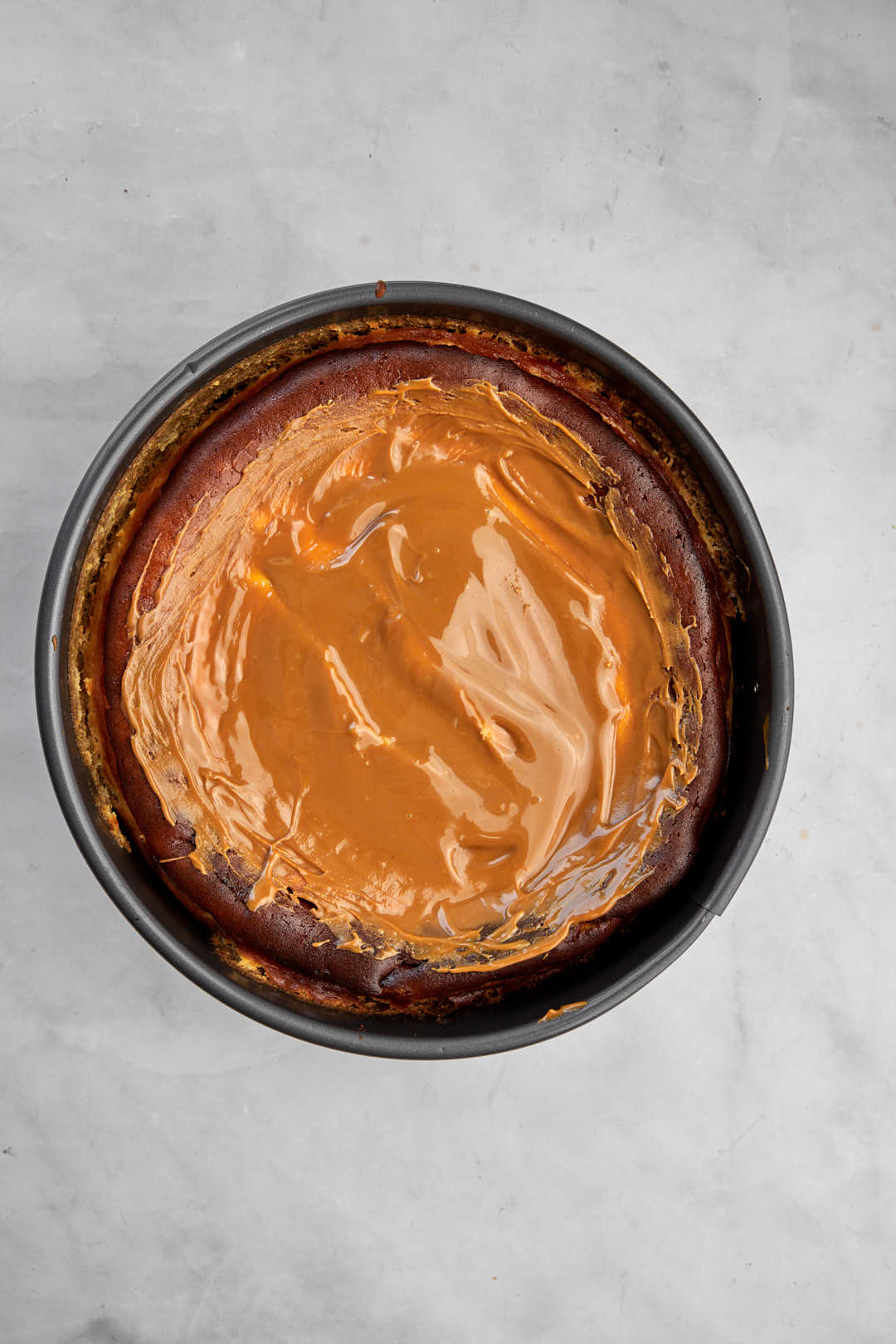 biscoff spread on cheesecake in springform pan.
