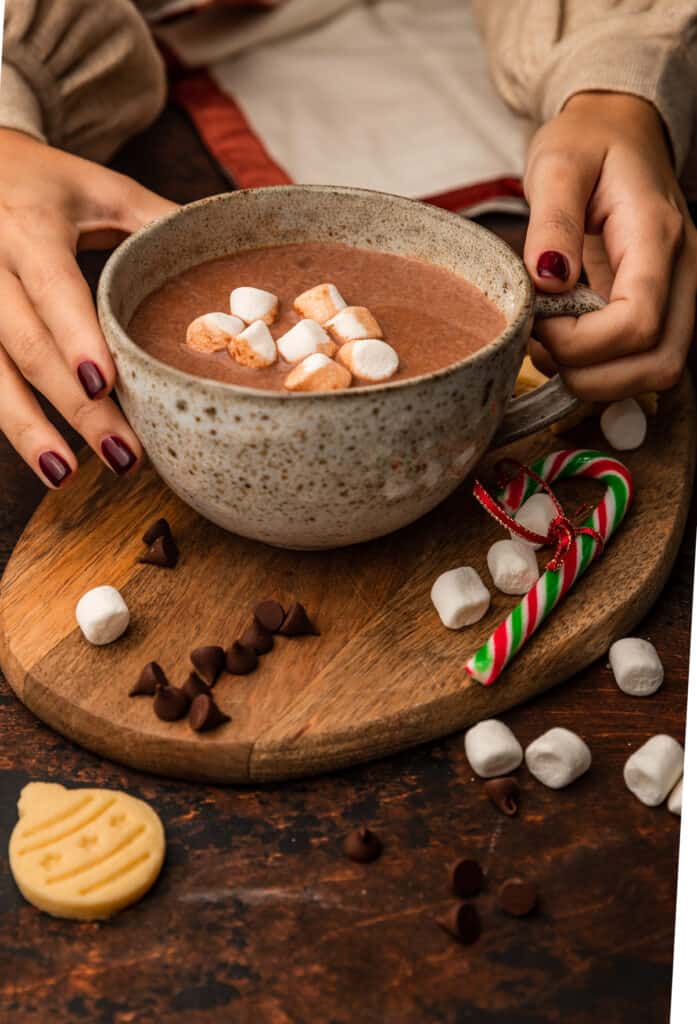 hands holding a mug of instant pot hot chocolate