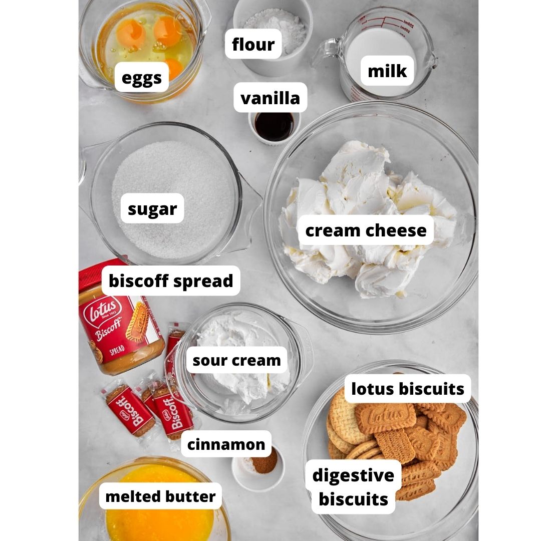 biscoff cheesecake ingredients on white background