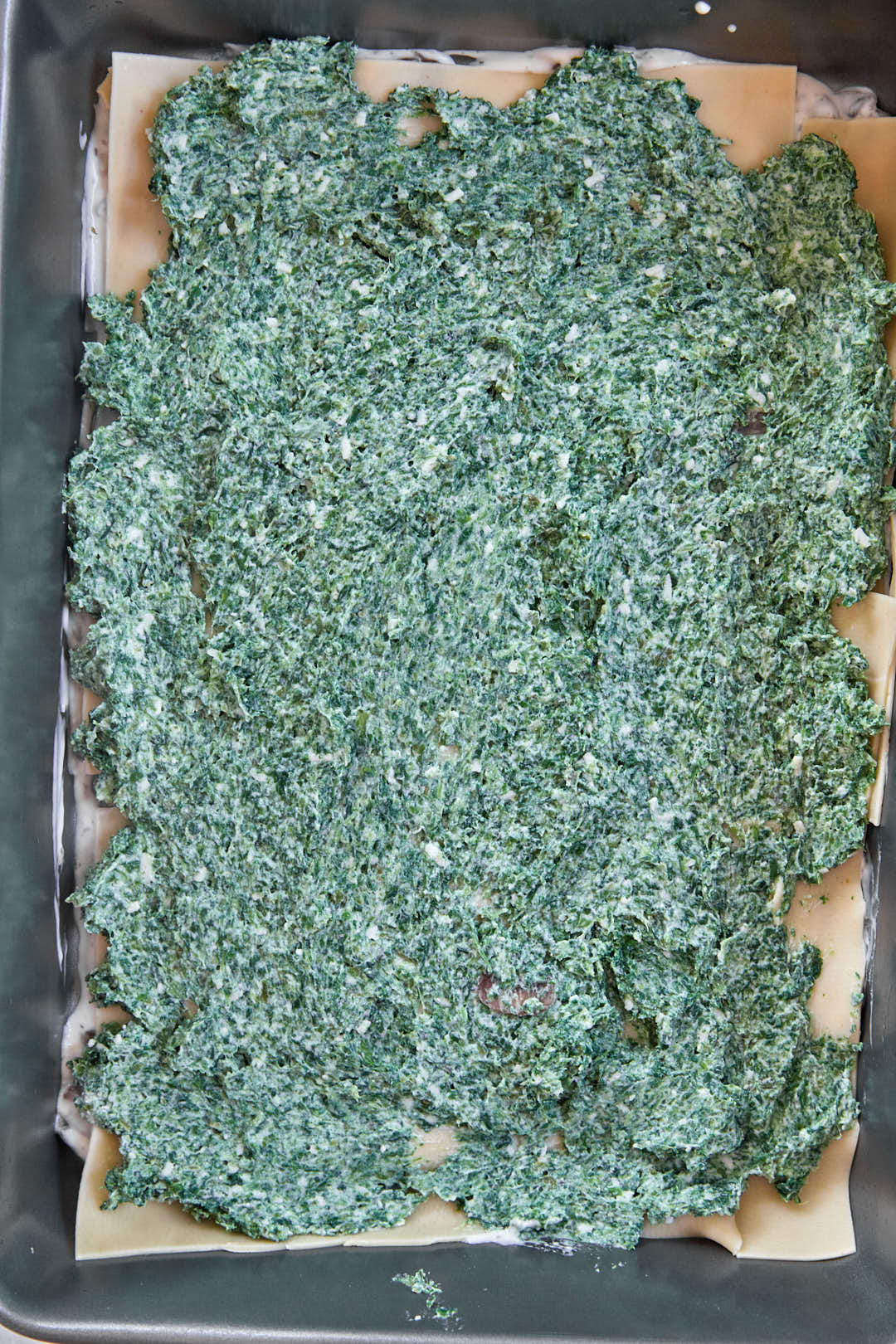 spinach ricotta filling spread onto lasagna noodles.